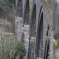 Buy canvas prints of Spanning  Viaduct by Nigel Barrett Canvas