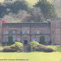 Buy canvas prints of Mount Edgecombe House by Nigel Barrett Canvas