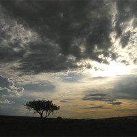 Buy canvas prints of Dramatic skys over Kenya by Bekie Spark