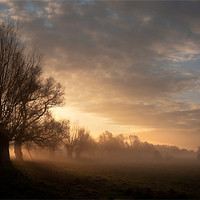 Buy canvas prints of Sunrise over Chester Meadows by Celtic Origins