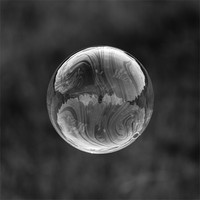 Buy canvas prints of Bubble Reflection by Paul Shears Photogr