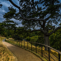 Buy canvas prints of A Winding Path by Paul Shears Photogr