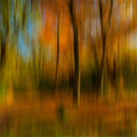 Buy canvas prints of Autumn Abstract by Paul Shears Photogr