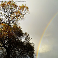 Buy canvas prints of Rainbow by Kirsty Bird