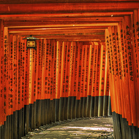 Buy canvas prints of Fushimi Inari by Jonah Anderson Photography
