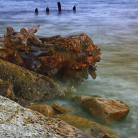 Buy canvas prints of Drift Wood by Jonah Anderson Photography
