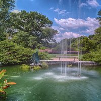 Buy canvas prints of  Botanical Garden by Jonah Anderson Photography