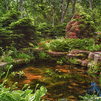 Buy canvas prints of  Garden Pond   by Jonah Anderson Photography