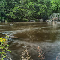 Buy canvas prints of  Serene Stream by Jonah Anderson Photography