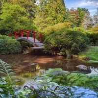 Buy canvas prints of  Red Bridge Calm Garden by Jonah Anderson Photography