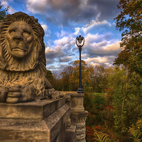 Buy canvas prints of The Lion and the Lamp Post  by Jonah Anderson Photography