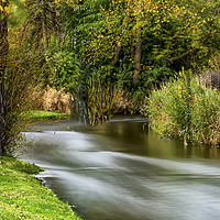 Buy canvas prints of The Stream by Jonah Anderson Photography