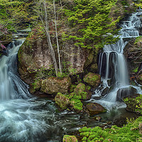 Buy canvas prints of Dragon Falls by Jonah Anderson Photography