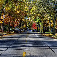 Buy canvas prints of Autumn Lane by Jonah Anderson Photography