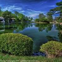 Buy canvas prints of Japanese Garden Pond by Jonah Anderson Photography