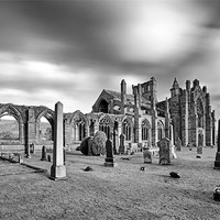 Buy canvas prints of Melrose Abbey by Grant Glendinning