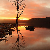 Buy canvas prints of Loch Ard Sunrise by Grant Glendinning