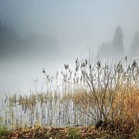 Buy canvas prints of Loch Ard by Grant Glendinning