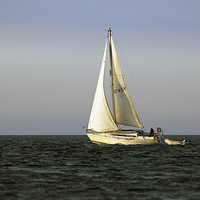 Buy canvas prints of Sailing by by Grant Glendinning