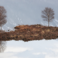 Buy canvas prints of Cluanie island  by Grant Glendinning