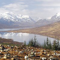 Buy canvas prints of  Highland View by Grant Glendinning