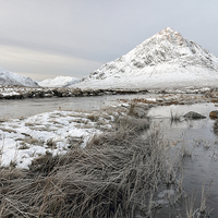 Buy canvas prints of  The Great Herdsman Of Etive by Grant Glendinning