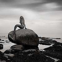 Buy canvas prints of Mermaid of the north mono by Grant Glendinning