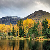 Buy canvas prints of Torren Lochan Autumn by Grant Glendinning