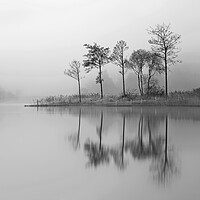 Buy canvas prints of Fine Trees from the misty shore of Loch Ard by Grant Glendinning