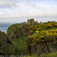 Buy canvas prints of Dunnottar Castle in Spring by Maria Gaellman