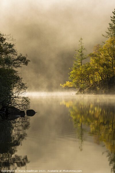 Loch Ard in Autumn Misty Sunrise Framed Print by Maria Gaellman