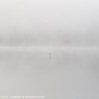 Buy canvas prints of Loch Ard Cross on a Misty Morning by Maria Gaellman