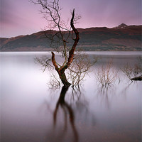Buy canvas prints of Loch Lomond Sunset by Maria Gaellman