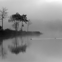 Buy canvas prints of Loch Ard in Mist by Maria Gaellman