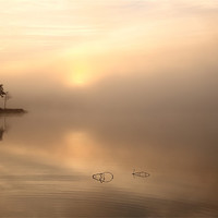 Buy canvas prints of Loch Ard in Mist by Maria Gaellman