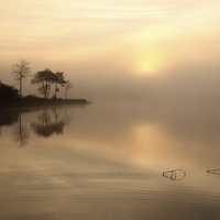 Buy canvas prints of Loch Ard Misty Sunrise by Maria Gaellman