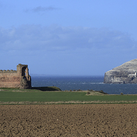 Buy canvas prints of Tantallon Castle and the Bass Rock by Maria Gaellman
