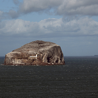 Buy canvas prints of The Bass Rock and Lighthouse by Maria Gaellman