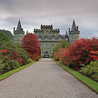 Buy canvas prints of Inveraray Castle in Autumn by Maria Gaellman