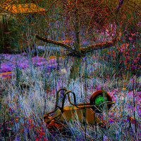 Buy canvas prints of WHEELBARROW IN THE GRASS by Jacque Mckenzie