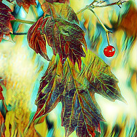 Buy canvas prints of AUTUMN BERRY by Jacque Mckenzie