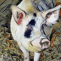 Buy canvas prints of PORKY PIG by Jacque Mckenzie