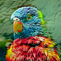 Buy canvas prints of PRETTY POLLY PARROT by Jacque Mckenzie