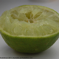 Buy canvas prints of Squeezed Lime by Wood Stocker
