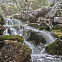Buy canvas prints of  Moorland stream by Images of Devon