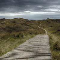 Buy canvas prints of  Braunton burrows by Images of Devon