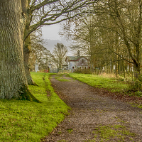 Buy canvas prints of  Winding Lane by Images of Devon
