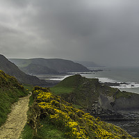 Buy canvas prints of North Devon Coastal Path by Images of Devon