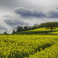 Buy canvas prints of Fields of Devon by Images of Devon