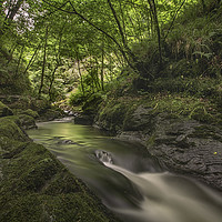 Buy canvas prints of Lydford Gorge Dartmoor by Images of Devon